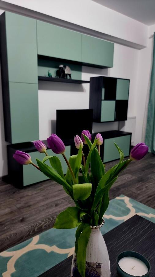 Swan Brasov Apartment Exterior photo